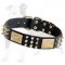 Walking Leather Dog Collar with Spikes, Pyramids and Massive Plates