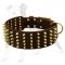 Extra Wide Leather Dog Collar with Brass Spikes for Daily Fashion Walking