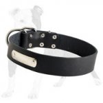 Identification Leather Dog Collar for Walking and Training