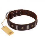 "War Chief" FDT Artisan Genuine Brown Leather dog Collar with Skulls and Plates