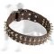 Walking Leather Dog Collar Decorated