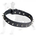 Dog Training Leather Spiked Dog Collar-1 row with Silver Spikes-Dog Supplies