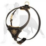 Fantastic Leather Dog Harness for Healthy Puppy Development