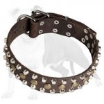 Custom Studded Leather Dog Collar for Training and Walking