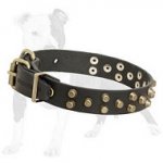 Comfortable Leather Dog Collar with Brass Pyramids
