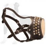 Royal Brass Studded Leather Dog Muzzle to Ease Training