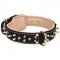 Nappa Padded Leather Dog Collar with Barss Spikes for Fashion Walking