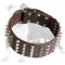 Fashion Spiky Leather Dog Collar with Pyramids