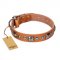 "Era of Future" FDT Artisan Handcrafted Tan Leather dog Collar with Decorations