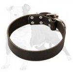 Price Affordable Leather Dog Collar for Daily Wearing