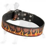 Painted in Flames Leather Dog Collar for Training and Walking