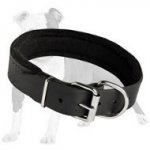 Anti-Discomfort Leather Dog Collar Soft Felt Padded
