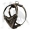 Your Best Assistant in Agitation Work - Safe and Comfortable Leather Dog Harness