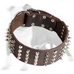 Fashion Spiky Leather Dog Collar with Pyramids