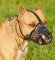 Best Art Leather dog muzzle for Dog Trainings/ Dog Training -Dog Supplies