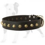Wide Leather Dog Collar with Brass Pyramids for Walking Large and Medium Canines
