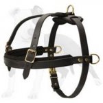 Professional Pulling and Tracking Leather Dog Harness