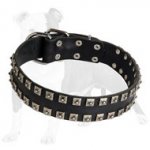 Studded Leather Dog Collar with Dotted Nickel Studs for Daily Walking