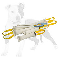 2 Fire Hose Bite Tugs Training Sets