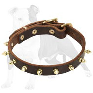 Elegant Leather Dog Collar with Gold Color Spikes for Fashionable Walking