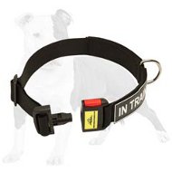 Training Nylon Collar with ID Patches and Easy Quick Release Buckle - Enjoy Comfort and Save Time