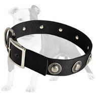 Gorgeous and Functional Nylon Dog Collar with Decorative Stones