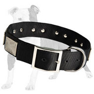 High Quality Nylon Dog Collar with Large Vintage Plates for Training and Walking with Style