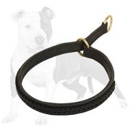 Awesome Leather Training Choke Collar with Stitched Leather Braid