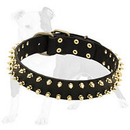 Chic Leather Dog Collar for Walking with Spikes