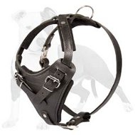 Leather Agitation Harness for Safe Training of Your Dog