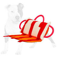 Bite Pillow with Leather Cover for Advanced Dog Training