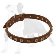 Fashion Leather Canine Collar Studded with Squares and Dots for Walking/Training