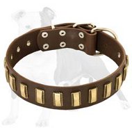 Beautiful Leather Dog Collar with Curved Brass Plates for Multitasking Activity