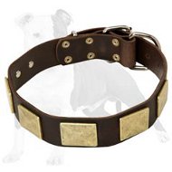 Leather Dog Collar With Brass Big Plates