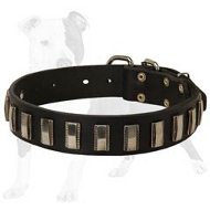 Beautiful Leather Dog Collar with Ornamental Silvery Plates