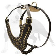 Gorgeous Dog Harness with Studs for Walking Training and Pleasant Exercising