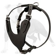 Comfortable for Active Behavior Leather Dog Harness