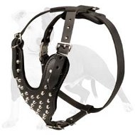 Excellent Every Day Harness with Silver Color Riveted Pyramids