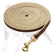 Excellent Quality Multifunctional Dog Lead