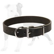 Budget Friendly Leather Dog Collar