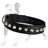 Any Weather and Season Nylon Dog Collar for Multitasking Use