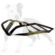 Dog Weight Pulling Harness for Professional Training of Working Dog
