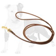 Convenient and Elegant Leather Canine Lead for Dog Shows