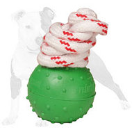 Dotted Rubber Dog Ball for Water Training and Playing