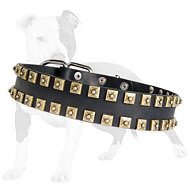 Fashion Exclusive Design - "Caterpillar" Leather Dog Collar