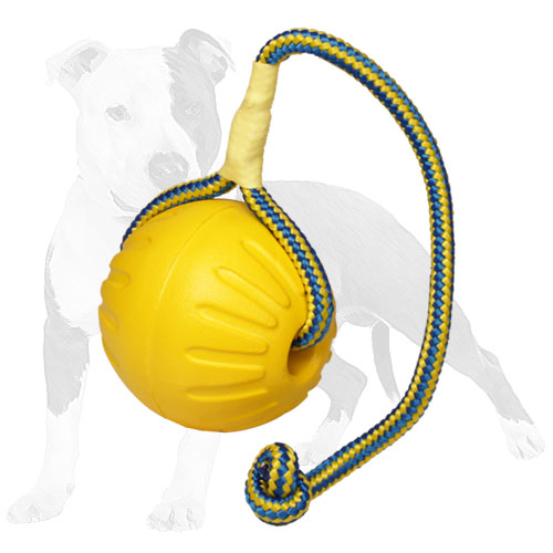dog ball on string