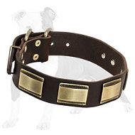 Design Leather Dog Collar Brass Plates