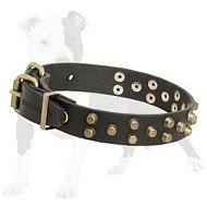 Comfortable Leather Dog Collar with Brass Pyramids