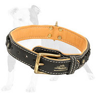 Beautiful Nappa Padded Hand Made Leather Dog Collar