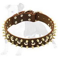 Spiked and Studded Leather Dog Collar